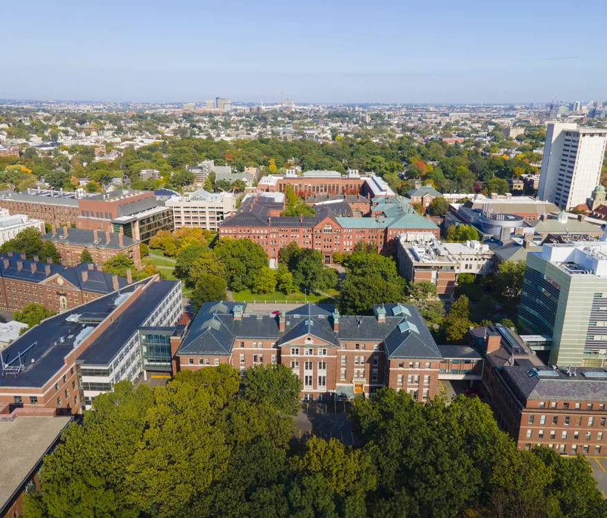 65937817cd176c4b0f5b79c6_af5460_0eb279dc85f34357976b8942d4fc9801~mv2